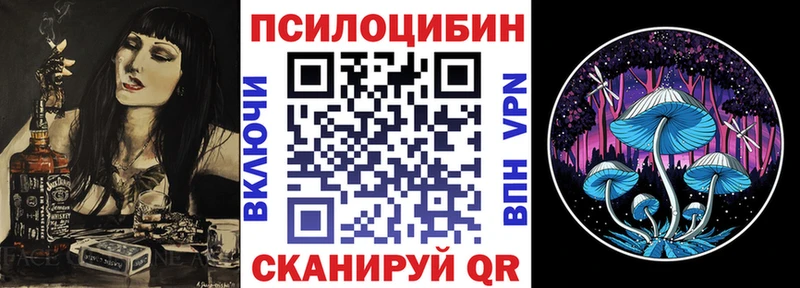 Псилоцибиновые грибы Psilocybe  магазин  наркотиков  Кизел 